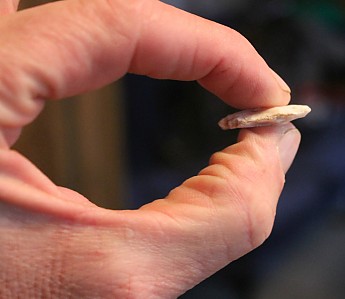 IMG_1413-Quartz-scrapper-I-found-diamete