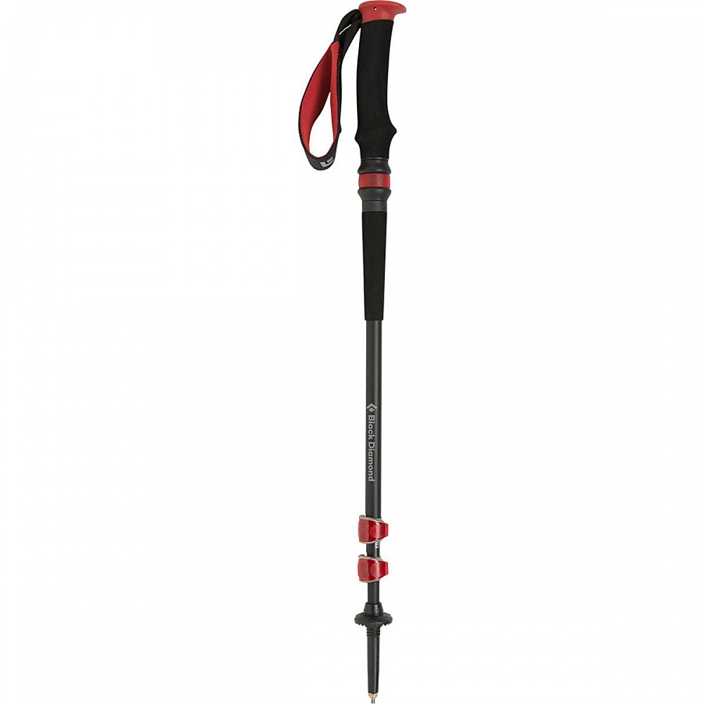 photo: Black Diamond Trail Pro Shock antishock trekking pole