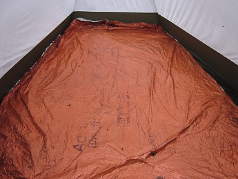 IMG_2392.jpg