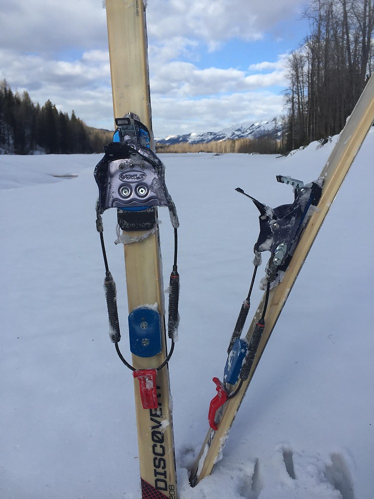 photo: Alpina Discovery 80 nordic touring ski