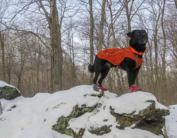 Ruffwear Overcoat Fuse Harness Jacket Reviews Trailspace