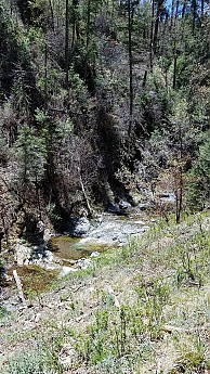 20170426_134150-1296x2304.jpg