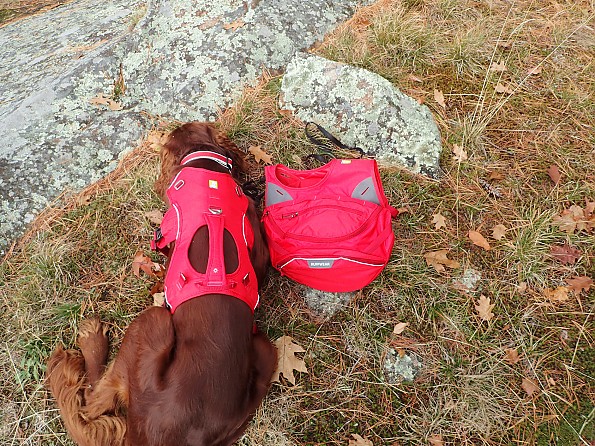 Ruffwear Palisades Pack Reviews Trailspace