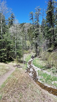 20170426_140505-1296x2304.jpg
