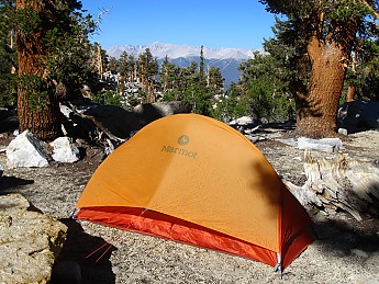 IMG_6111.jpg