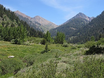 IMG_0959.jpg