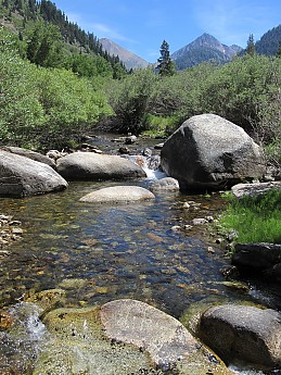 IMG_0956.jpg