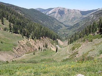 IMG_0914.jpg
