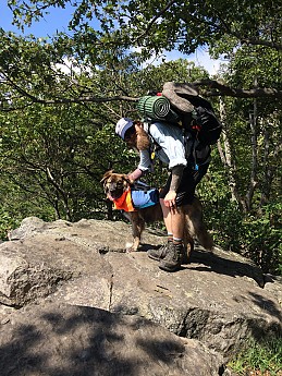 IMG_0823.jpg