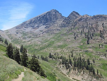 IMG_0910.jpg