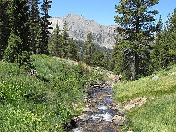 IMG_0894.jpg