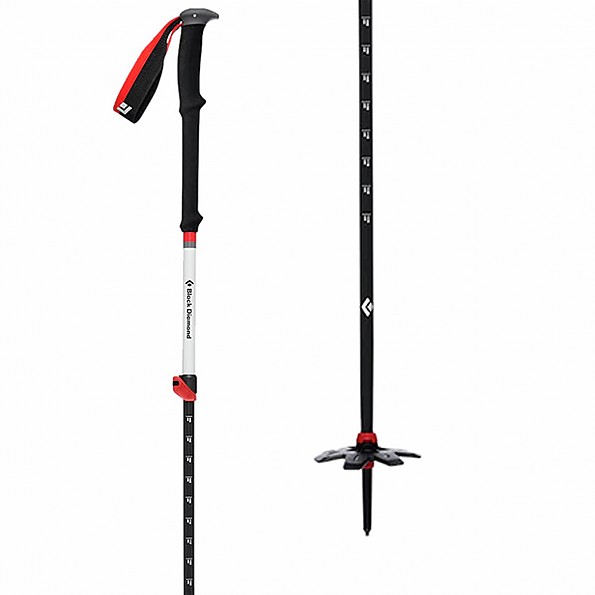 The Best Alpine Touring/Telemark Poles for 2021 Trailspace