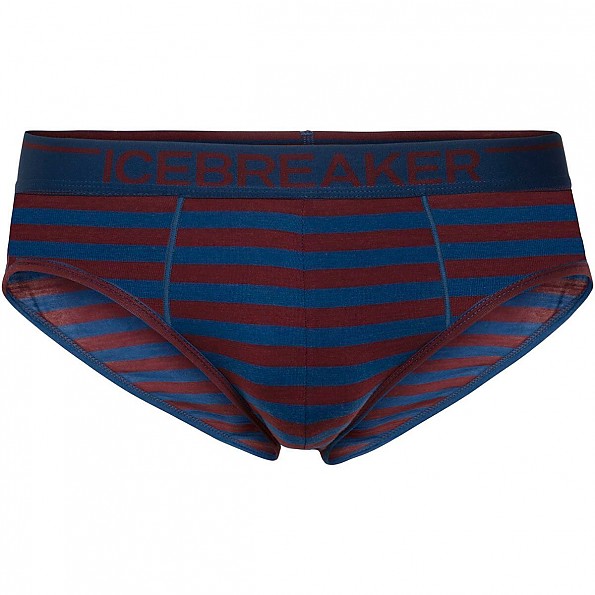 Icebreaker Anatomica Brief