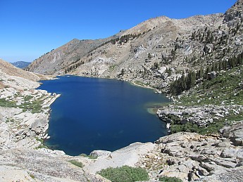 IMG_0833.jpg