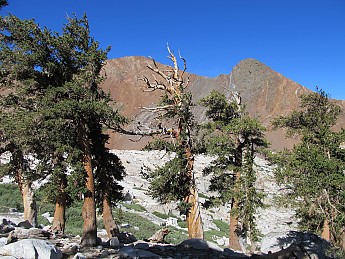 IMG_0790.jpg