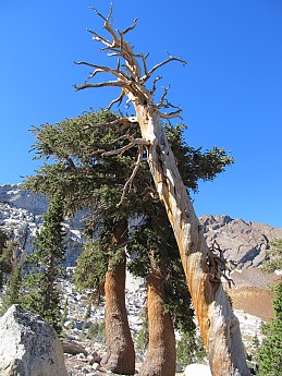 IMG_0789.jpg