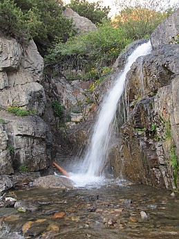 IMG_0750.jpg