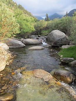 IMG_0708.jpg