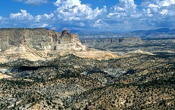 white-cliffs-utah-2.jpg