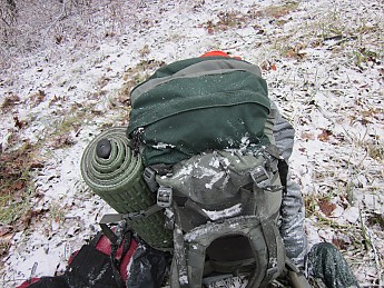 IMG_2417.jpg