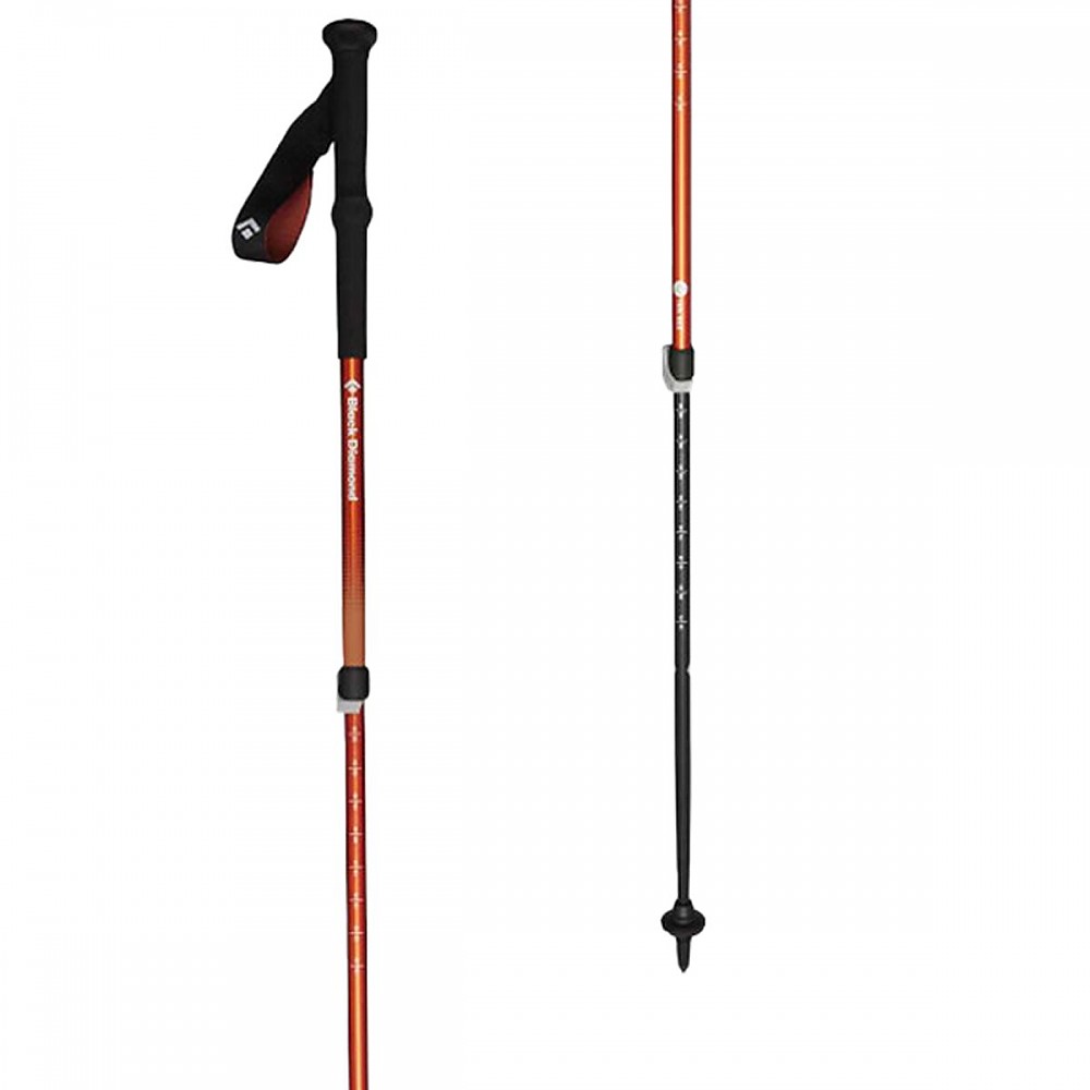 photo: Black Diamond Trail Back rigid trekking pole