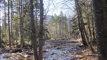 IMG_5454a.jpg