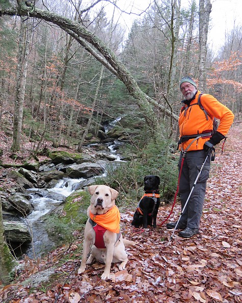 Bean's ProStretch Fleece Vest