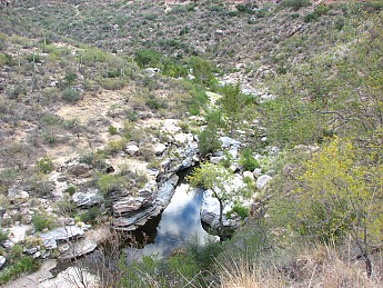 Sabino Canyon in the Catalina Mountain near Tucson AZ - Trailspace.com