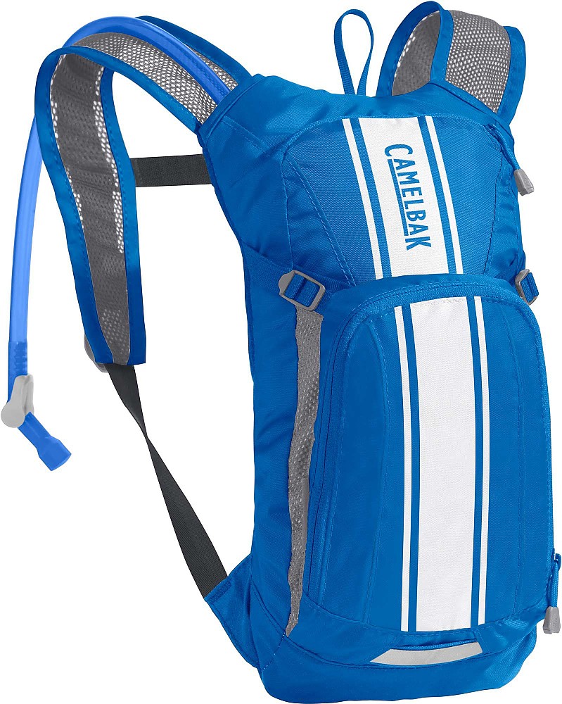 photo: CamelBak Mini M.U.L.E. hydration pack