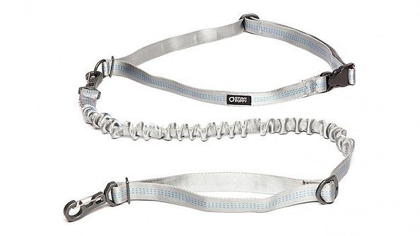 stunt puppy running leash