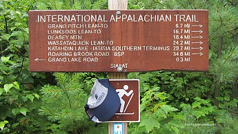 IMG_4910a.jpg