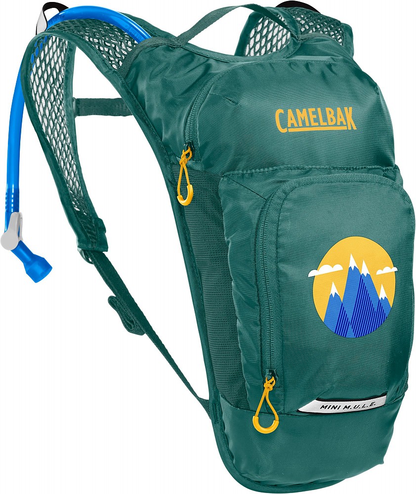photo: CamelBak Mini M.U.L.E. hydration pack