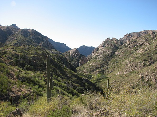 Sabino Canyon in the Catalina Mountain near Tucson AZ - Trailspace