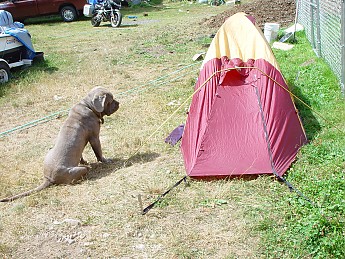 DSC04325.jpg
