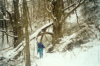 Trail-to-the-Tipi-in-the-Cold-Winter.jpg
