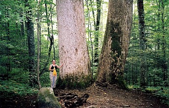 kilmer-4.jpg