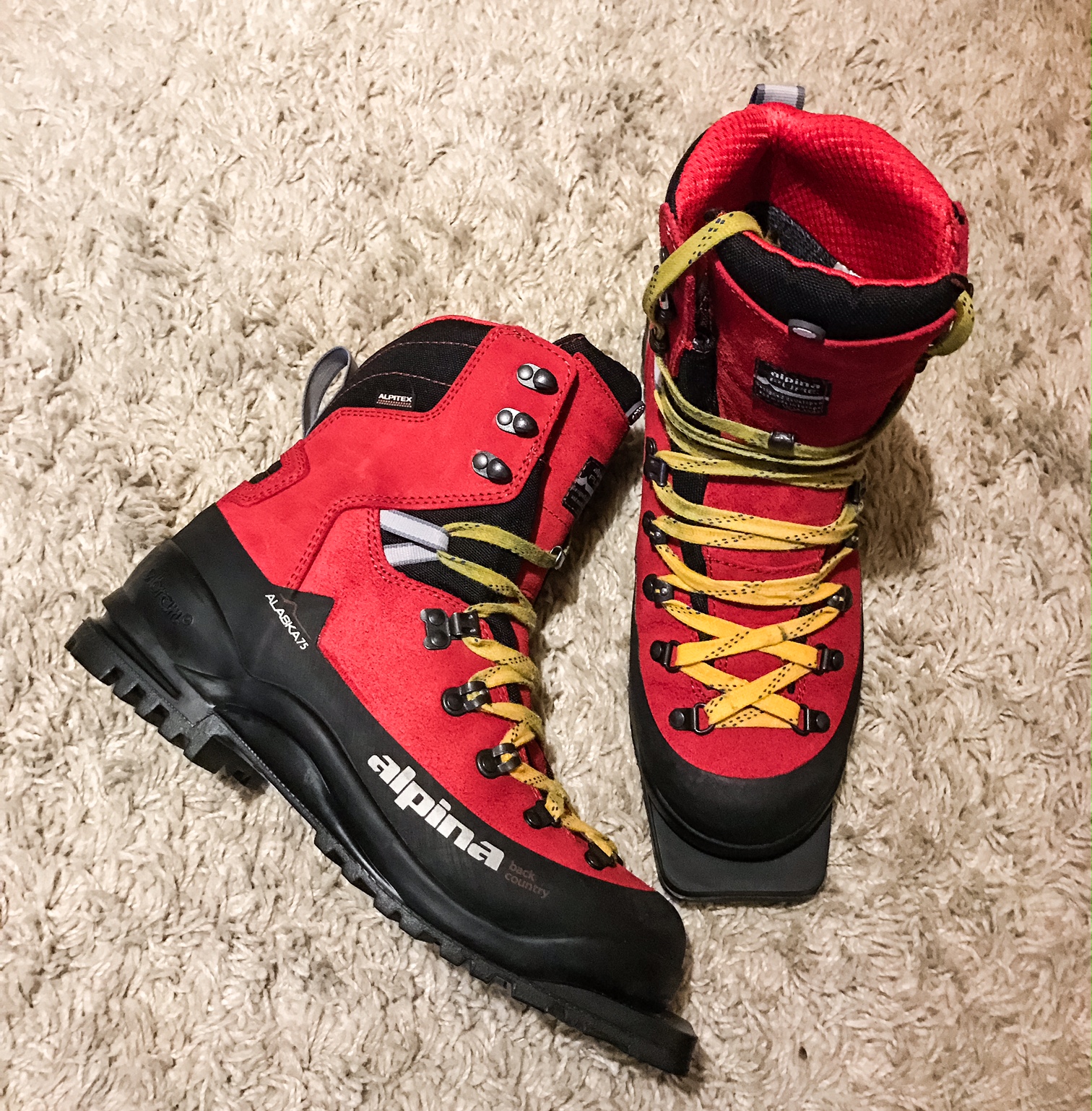 Alpina Alaska 75mm Nordic Ski Boot 2025-26 main image 0