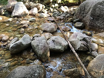 IMG_1780.jpg