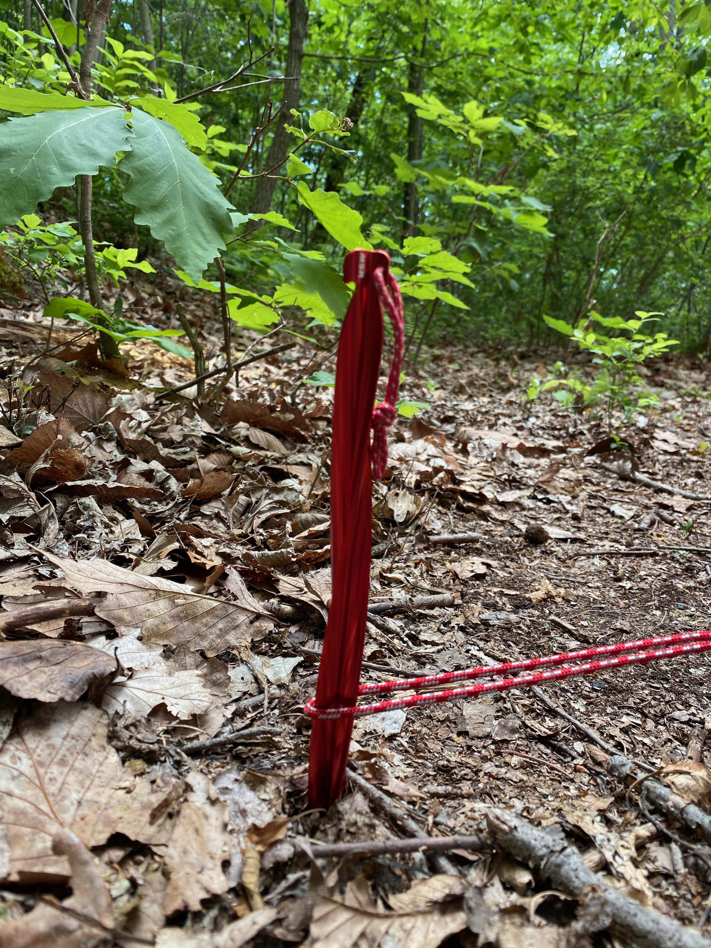 photo: MSR Cyclone Tent Stakes stake