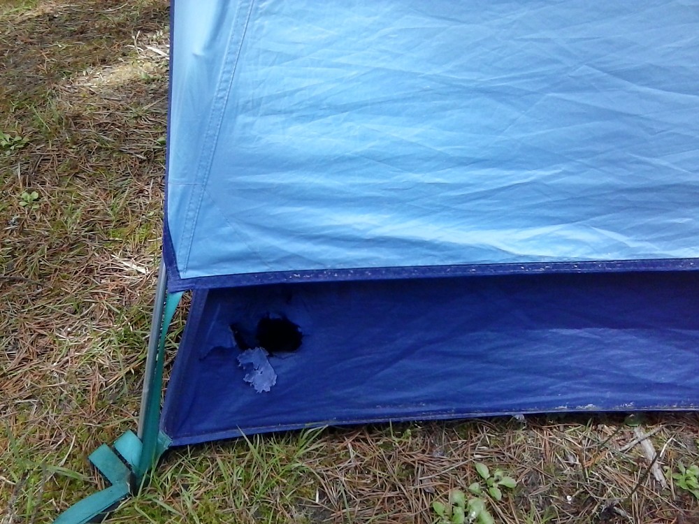 REI Camp Dome 2 Reviews Trailspace