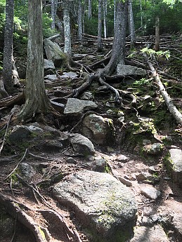 IMG_1741.jpg