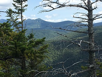 IMG_1742.jpg